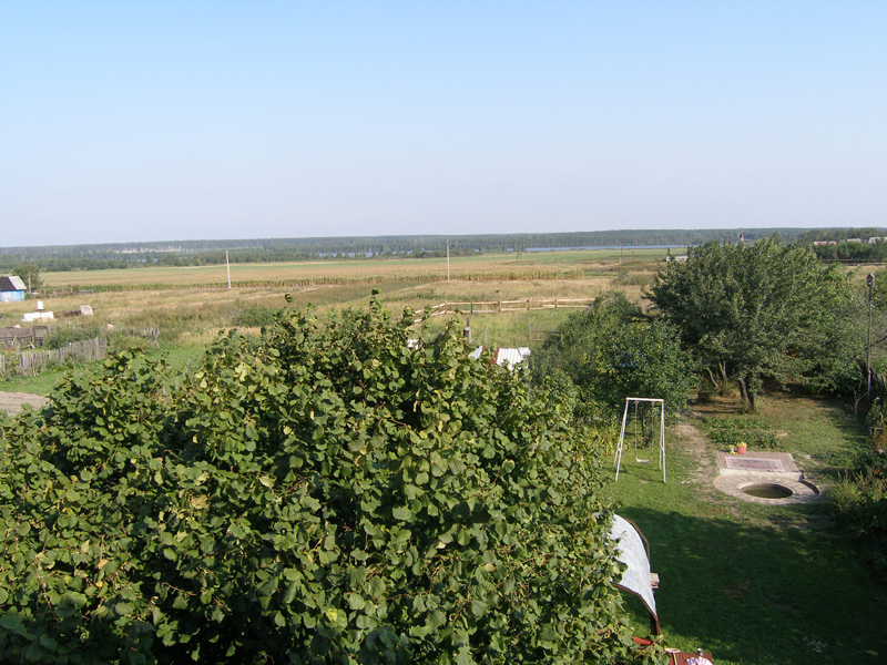 P38250011