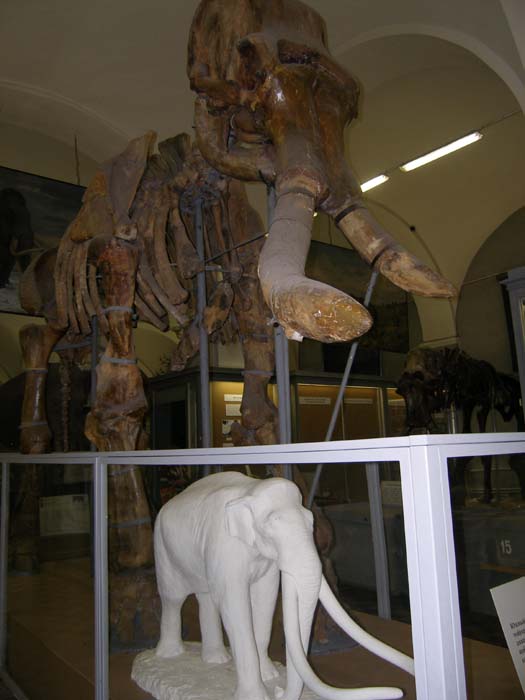 P7300063