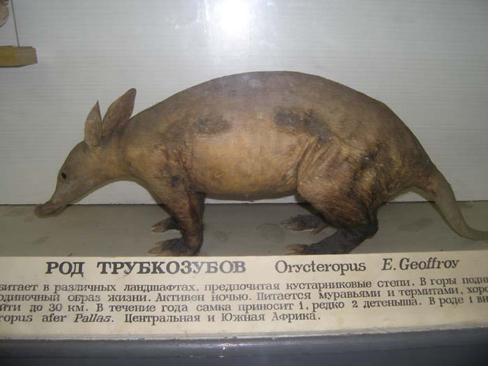 P7300068