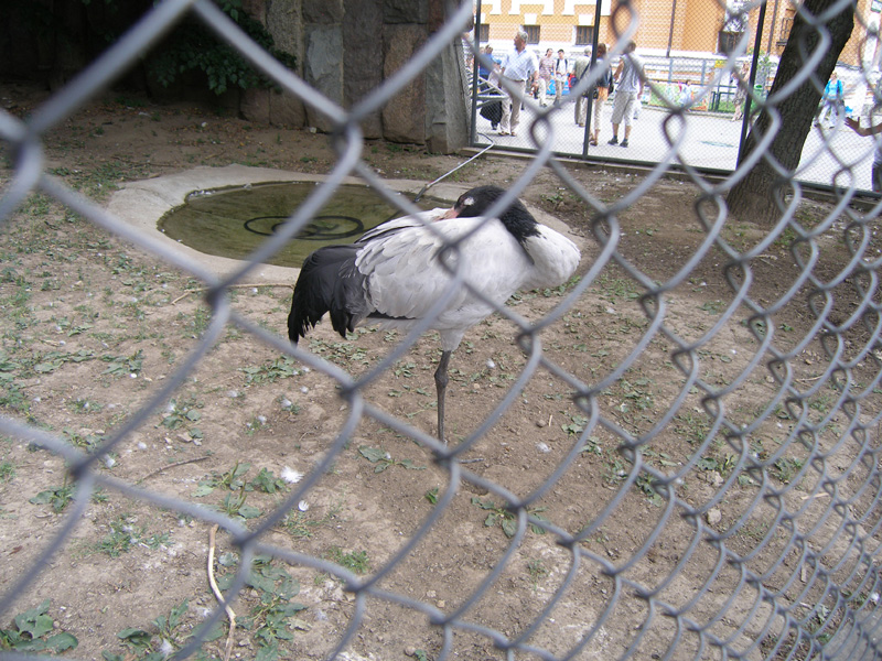 P6190026