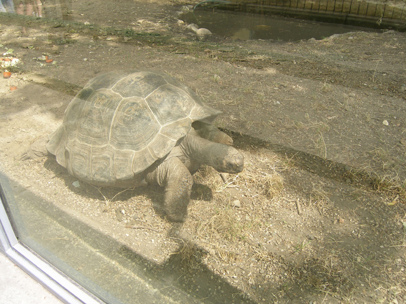 P6190083